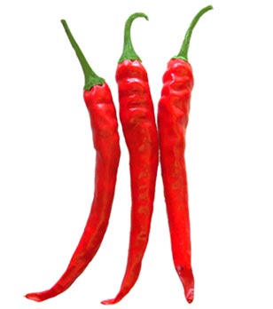 Cayenne Pepper Sauces - Available at The Hot Sauce Mall