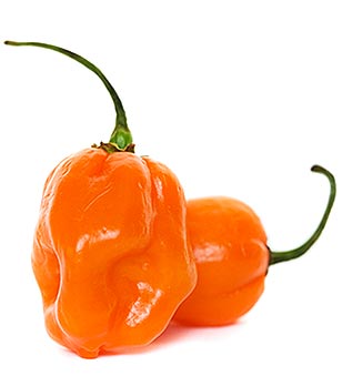 Habanero Pepper Sauces - Available at The Hot Sauce Mall